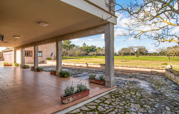 Ferienhaus - Ariany , Spanien - EMI641 9