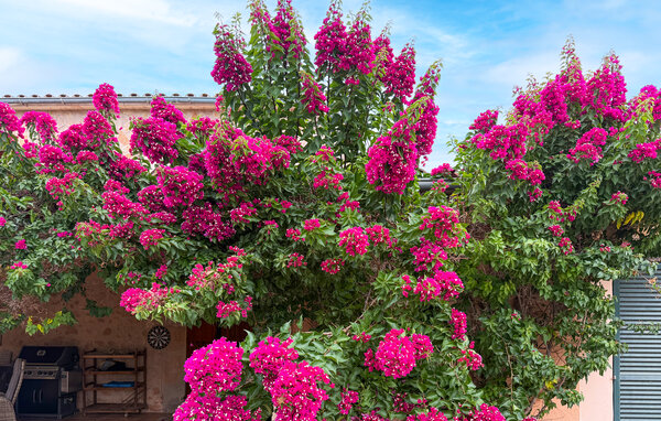 Casa de vacaciones - Algaida , España - EMI660 801