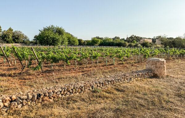 Feriehus - Algaida , Spania - EMI660 202