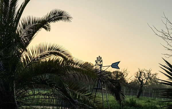 Feriehus - Algaida , Spania - EMI660 204