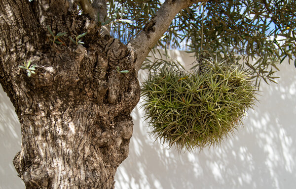 Casa de vacaciones - Portocolom , España - EMI668 102