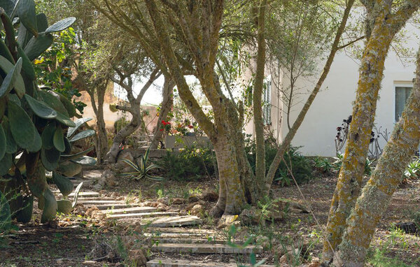 Ferienhaus - Ses Salines , Spanien - EMI669 104