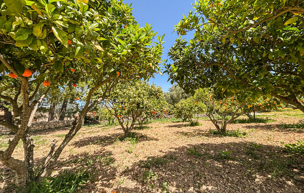 Feriehus - Binissalem , Spanien - EMI680 103