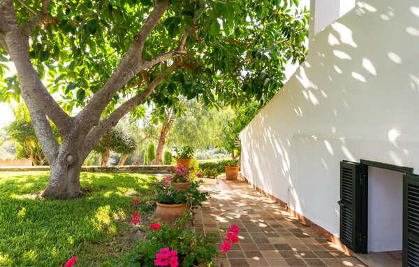 Feriehus - Santa Margalida , Spanien - EMI692 109