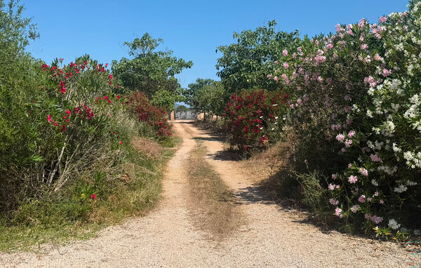 Casa de vacaciones - Manacor , España - EMI695 108