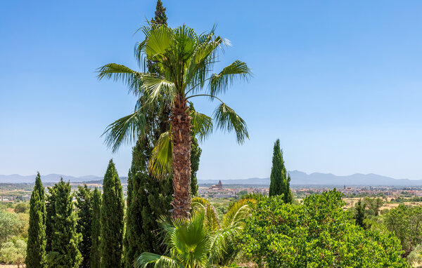 Location de vacances - PORRERES , Espagne - EMI698 201