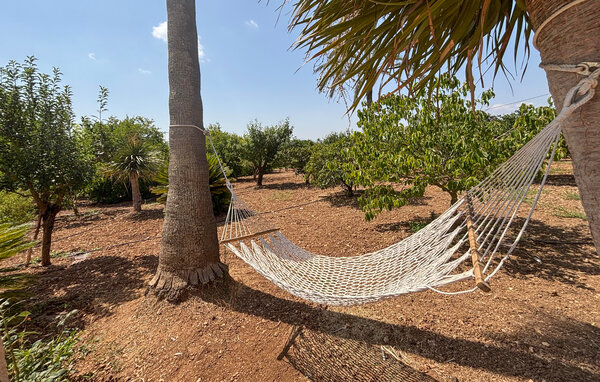 Holiday Home - Manacor , Spain - EMI707 9