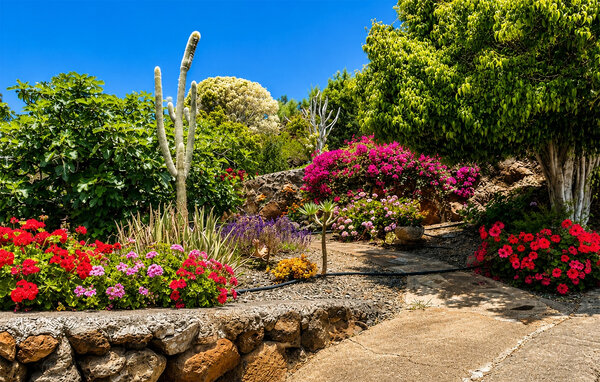 Ferienhaus - La Palma , Spanien - EPA001 7