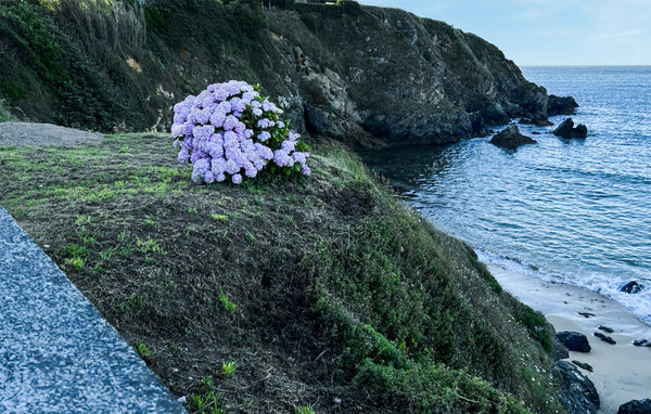 Apartamento - Ortigueira , España - ESA029 901