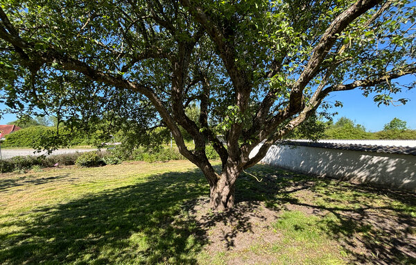 Domy wakacyjne - Ørby Strand , Dania - F04376 101