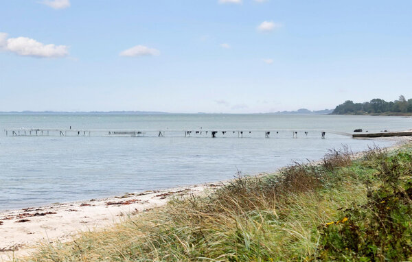Domy wakacyjne - Ørby Strand , Dania - F04685 901