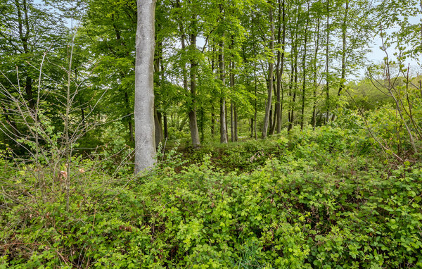Feriebolig Golfparken