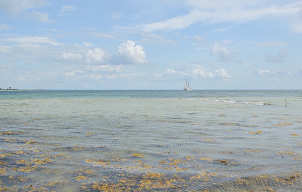 Feriehuse - Årøsund , Danmark - F07234 902