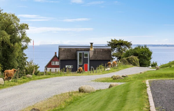 Vakantiehuis - Kelstrup Strand , Denemarken - F07258 3