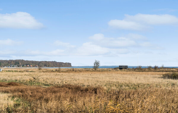 Feriehuse - Diernæs Strand , Danmark - F07299 2