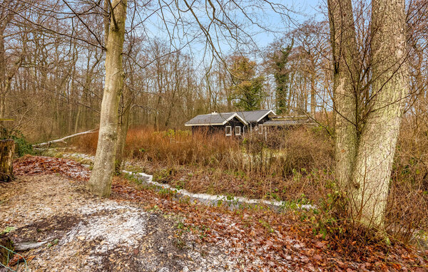 Ferienhaus - Sandersvig , Dänemark - F07306 81