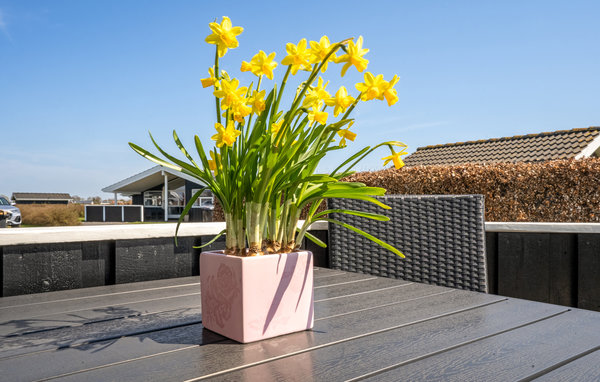 Location de vacances - Flovt Strand , Danemark - F07326 102