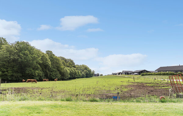 Ferienhaus - Kelstrup Strand , Dänemark - F07337 901