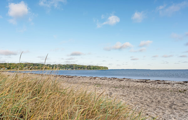 Ferienhaus - Diernæs , Dänemark - F07343 908