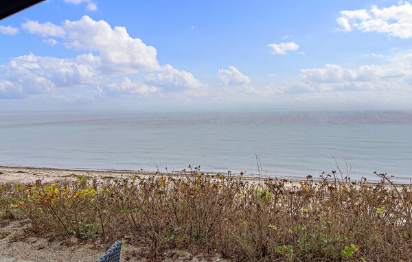 Domy wakacyjne - Kelstrup , Dania - F07364 201