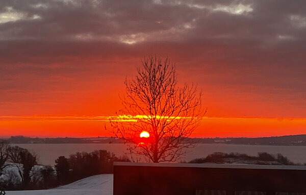 Semesterhus - Skarrev Strand , Danmark - F07381 202