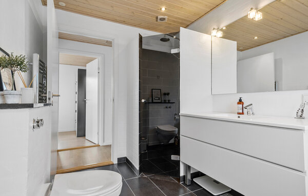 Ferienhaus - Loddenhøj Strand , Dänemark - F07393 701