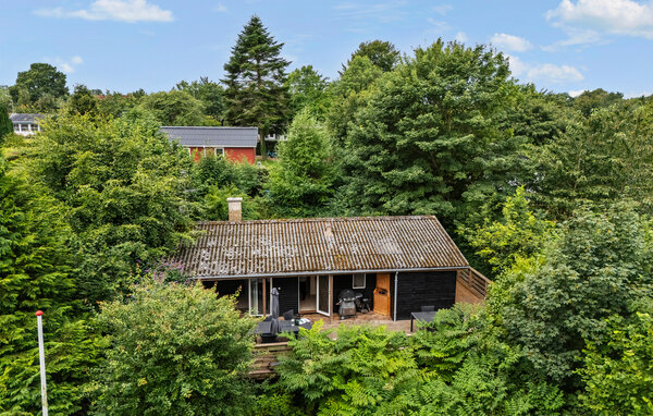 Ferienhaus - Loddenhøj Strand , Dänemark - F07407 3