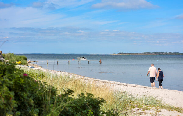 Ferienhaus - Sandersvig Strand , Dänemark - F07409 901