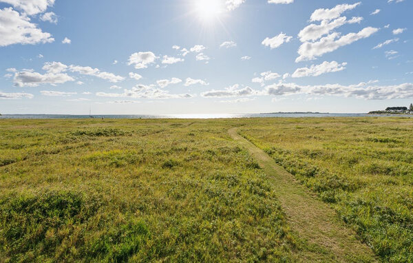 Ferienhaus - Diernæs , Dänemark - F07465 901