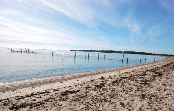 Semesterhus - Flovt Strand , Danmark - F07601 902