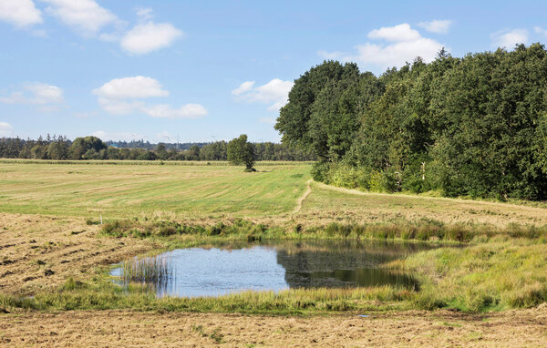 Domy wakacyjne - Kristiansminde , Dania - F08091 201