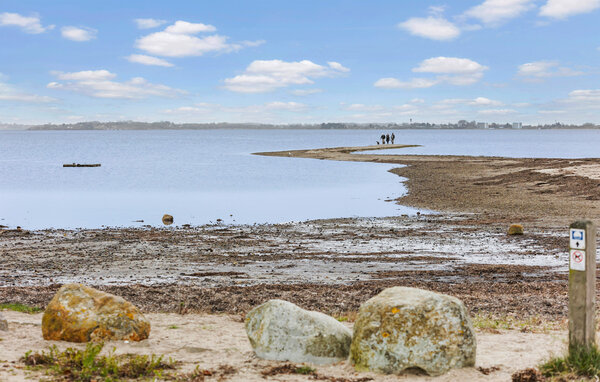 Ferienhaus - Sønderhav Strand , Dänemark - F08100 901