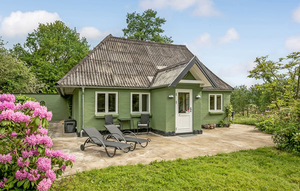 Feriehus - Blåkrog Strand , Danmark - F08131 2