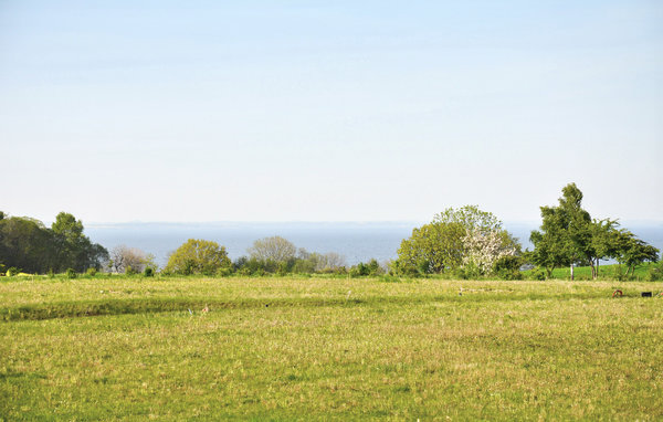 Domy wakacyjne - Nr.Kettingskov , Dania - F09003 2