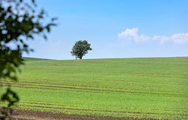 Feriebolig 