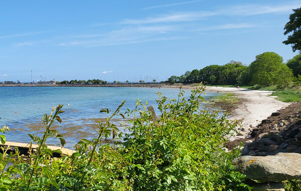 Feriehuse - Naldmose Strand , Danmark - F09525 8