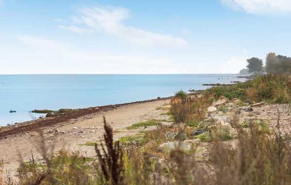 Domy wakacyjne - Lavensby Strand , Dania - F09579 901