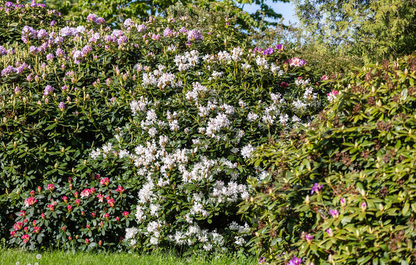 Casa de vacaciones - Skovmose Strand , Dinamarca - F09582 104