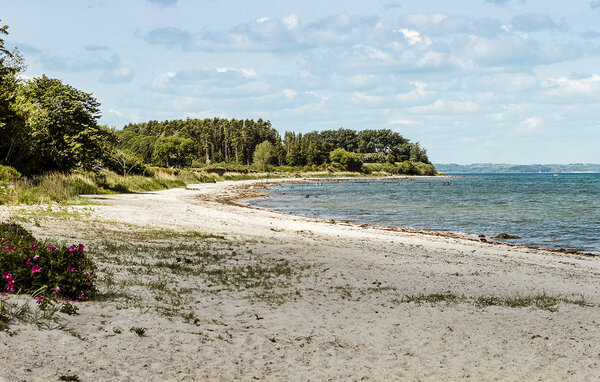 Feriehuse - Købingsmark Strand , Danmark - F09586 902