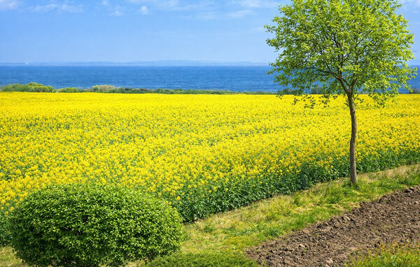 Ferienhaus - Havnbjerg Strand , Dänemark - F09627 202