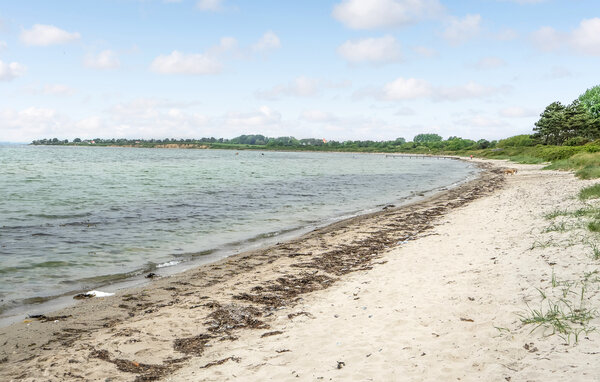 Ferienhaus - Kegnæs Strand , Dänemark - F09643 901