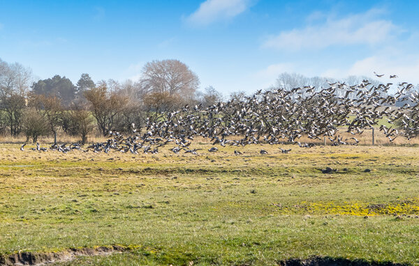 Feriehus - Kegnæs Strand , Danmark - F09658 202