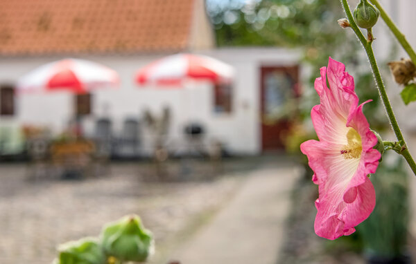 Semesterhus - Lebøl Strand , Danmark - F09753 106