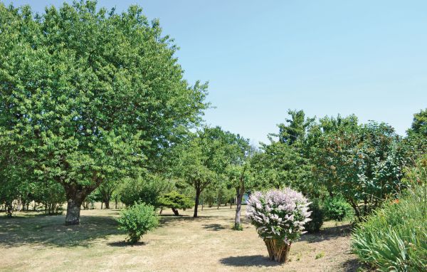 Casa de vacaciones - Ladornac , Francia - FAD061 101