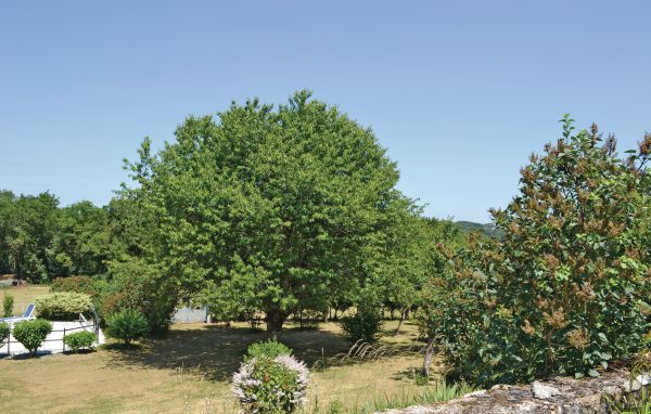 Casa de vacaciones - Ladornac , Francia - FAD061 11