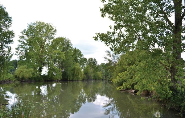 Feriebolig 