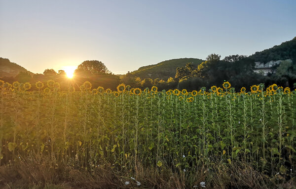 Kuća-za-odmor - Lescoussey , Francuska - FAD491 9