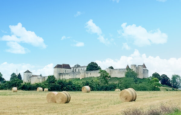 Casa vacanze - Riberac , Francia - FAD492 8