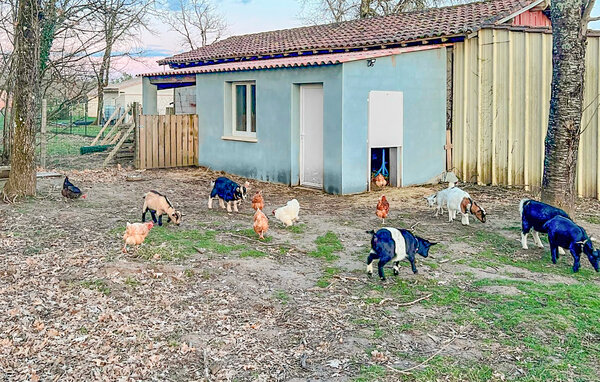 Location de vacances - Eyraud-Crempse-Maurens , France - FAD503 108