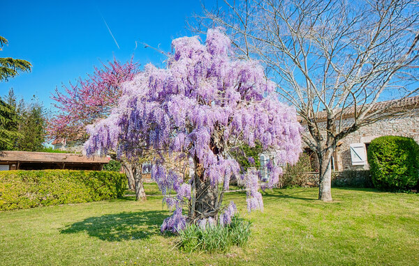 Ferienhaus - Gageac-et-Rouillac , Frankreich - FAD510 105